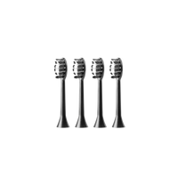 Brush Heads 4-Pack